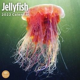 2024 Jellysfish Calendar