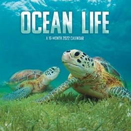 2024 Ocean Life Calendar