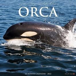 2024 Orca Whale Calendar