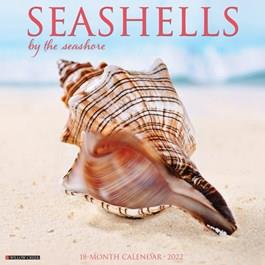 2024 Seashells Calendar