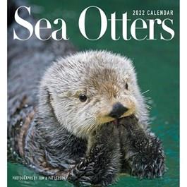 2024 Sea Otter Calendar